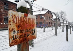 Miejsce Pamięci i Muzeum Auschwitz-Birkenau