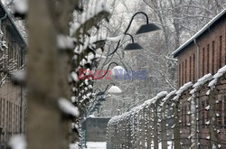 Miejsce Pamięci i Muzeum Auschwitz-Birkenau