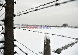 Miejsce Pamięci i Muzeum Auschwitz-Birkenau