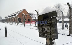 Miejsce Pamięci i Muzeum Auschwitz-Birkenau