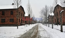 Miejsce Pamięci i Muzeum Auschwitz-Birkenau