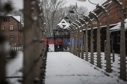 70. rocznica wyzwolenia Obozu koncentracyjnego Auschwitz Birkenau