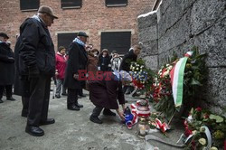 70. rocznica wyzwolenia Obozu koncentracyjnego Auschwitz Birkenau