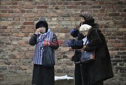 70. rocznica wyzwolenia Obozu koncentracyjnego Auschwitz Birkenau