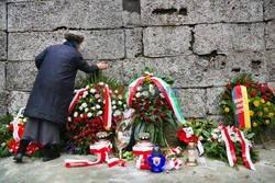 70. rocznica wyzwolenia Obozu koncentracyjnego Auschwitz Birkenau