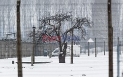 Miejsce Pamięci i Muzeum Auschwitz-Birkenau