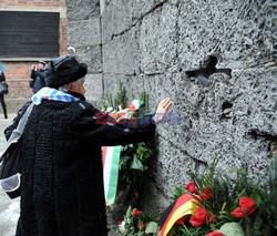 70. rocznica wyzwolenia Obozu koncentracyjnego Auschwitz Birkenau