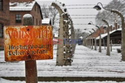 70. rocznica wyzwolenia Obozu koncentracyjnego Auschwitz Birkenau