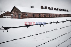 70. rocznica wyzwolenia Obozu koncentracyjnego Auschwitz Birkenau