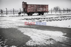 70. rocznica wyzwolenia Obozu koncentracyjnego Auschwitz Birkenau