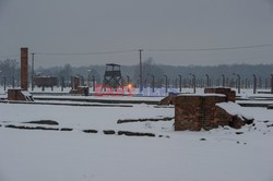 70. rocznica wyzwolenia Obozu koncentracyjnego Auschwitz Birkenau