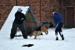 Zakład Karny w Goleniowie