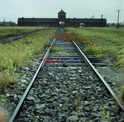 Auschwitz-Birkenau WMZ