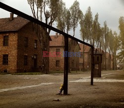 Auschwitz-Birkenau WMZ