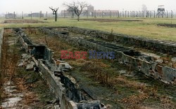 Auschwitz-Birkenau WMZ