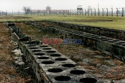 Auschwitz-Birkenau WMZ