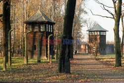 Auschwitz-Birkenau WMZ