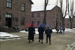 Auschwitz-Birkenau WMZ