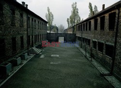 Auschwitz-Birkenau WMZ