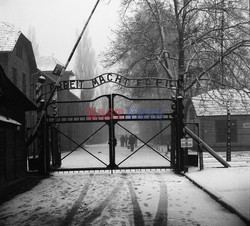 Auschwitz-Birkenau WMZ