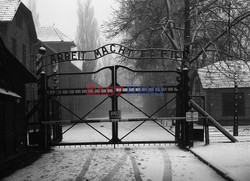 Auschwitz-Birkenau WMZ