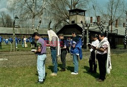 Auschwitz-Birkenau WMZ