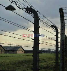 Auschwitz-Birkenau WMZ