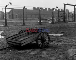 Auschwitz-Birkenau WMZ