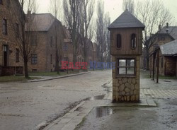 Auschwitz-Birkenau WMZ