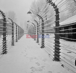 Auschwitz-Birkenau WMZ