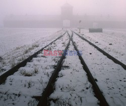 Auschwitz-Birkenau WMZ