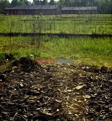 Auschwitz-Birkenau WMZ