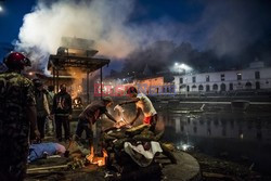 Zdjęcia roku 2015 - NYT 