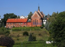 Polska Monk