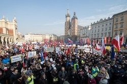 Manifestacje KOD