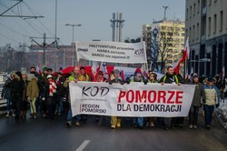 Manifestacje KOD