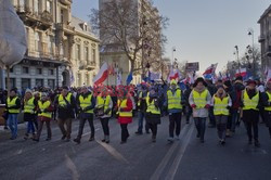 Manifestacje KOD