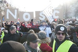 Manifestacje KOD