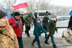 Manifestacje KOD