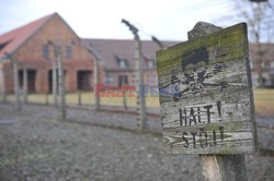 71. Rocznica wyzwolenia Obozu koncentracyjnego Auschwitz Birkenau