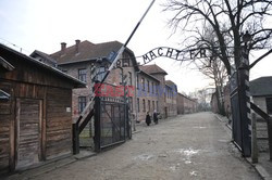 71. Rocznica wyzwolenia Obozu koncentracyjnego Auschwitz Birkenau