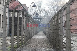 71. Rocznica wyzwolenia Obozu koncentracyjnego Auschwitz Birkenau