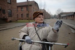 71. Rocznica wyzwolenia Obozu koncentracyjnego Auschwitz Birkenau