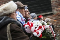 71. Rocznica wyzwolenia Obozu koncentracyjnego Auschwitz Birkenau