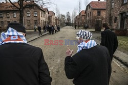 71. Rocznica wyzwolenia Obozu koncentracyjnego Auschwitz Birkenau