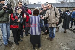 71. Rocznica wyzwolenia Obozu koncentracyjnego Auschwitz Birkenau