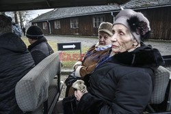 71. Rocznica wyzwolenia Obozu koncentracyjnego Auschwitz Birkenau