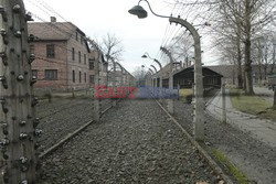 71. Rocznica wyzwolenia Obozu koncentracyjnego Auschwitz Birkenau