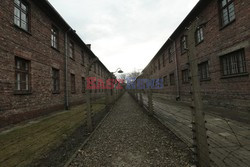 71. Rocznica wyzwolenia Obozu koncentracyjnego Auschwitz Birkenau