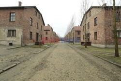 71. Rocznica wyzwolenia Obozu koncentracyjnego Auschwitz Birkenau